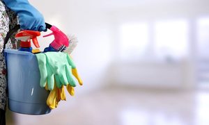 Уборка и клининг в Раменском Уборка и клининг в Раменском, уборка квартир и домов
